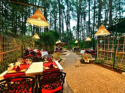Coin repas extérieur confortable avec chaises rouges et lampes entouré d'arbres.