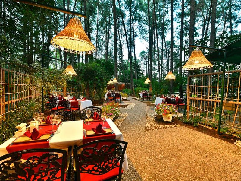 Coin repas extérieur confortable avec chaises rouges et lampes entouré d'arbres.