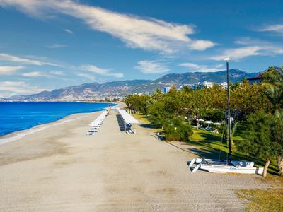 Breiter Sandstrand mit Liegestühlen und grünen Palmen unter blauem Himmel.