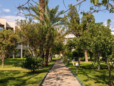 Gepflasterter Weg führt durch einen grünen Garten mit Bäumen und Sträuchern bei klarem Himmel.