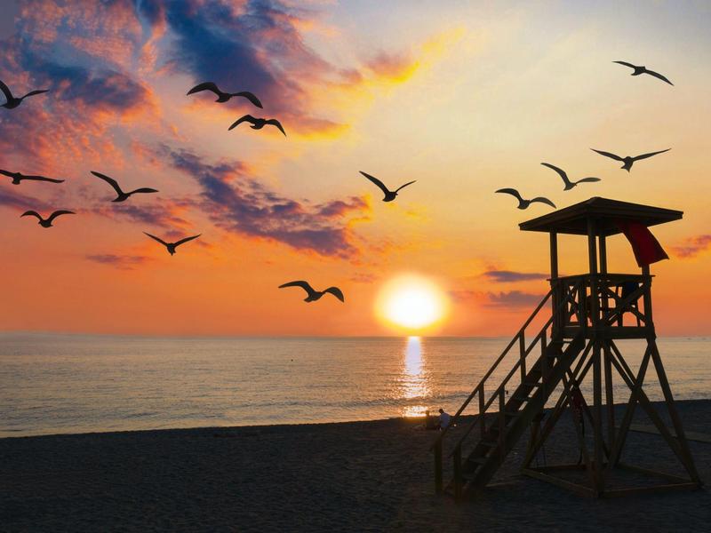 Sonnenuntergang am Strand mit Rettungsturm und Vögeln am Himmel.