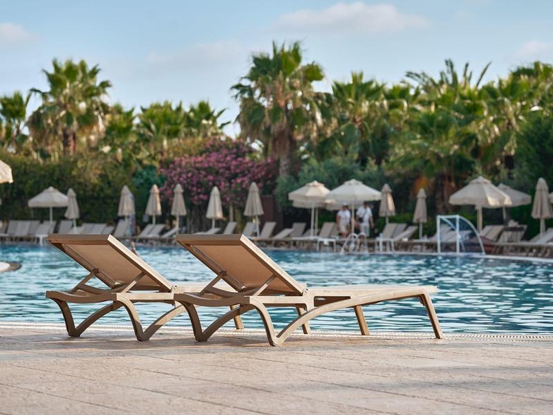 Drei leere Liegestühle am Pool, umgeben von Palmen und Sonnenschirmen bei klarem Himmel.