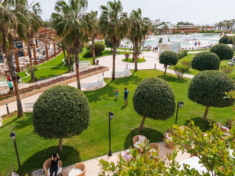 Grüner Park mit runden Büschen, Palmen und gepflasterten Wegen bei sonnigem Wetter.