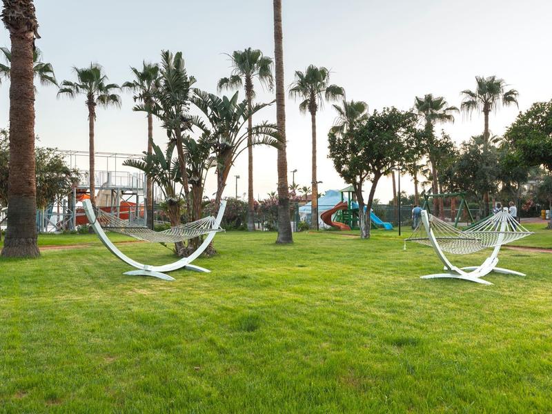 Grüner Park mit zwei weißen Hängematten zwischen hohen Palmen bei klarem Himmel.