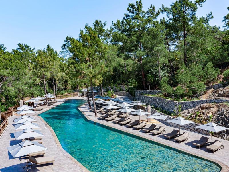 Piscina larga y estrecha con tumbonas y sombrillas en hotel rodeado de bosque verde
