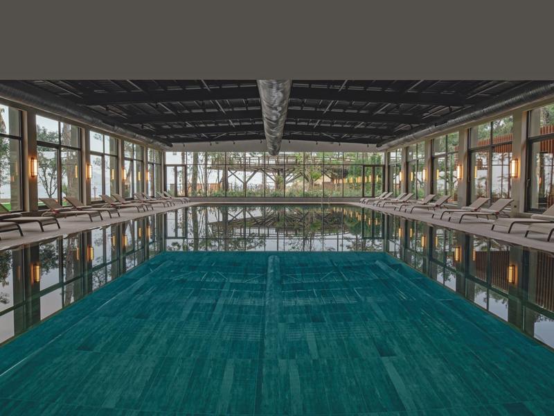 Piscina interior con tumbonas y grandes ventanas que ofrecen vistas a los árboles.