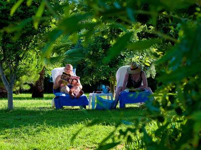 Dos personas disfrutan de un masaje al aire libre bajo árboles sombreados sobre césped verde.