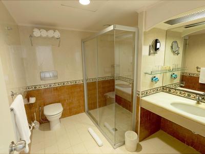 Bright bathroom with shower enclosure, toilet, and large mirror above the sink.
