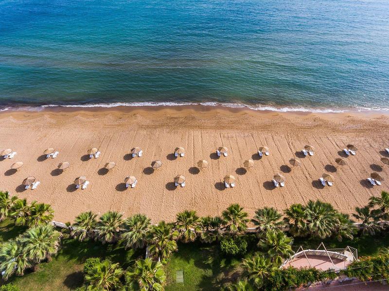 Beach with umbrellas casting shadows by blue sea, palm trees in front