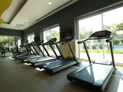 Gym with multiple treadmills in front of large windows overlooking outdoor area.