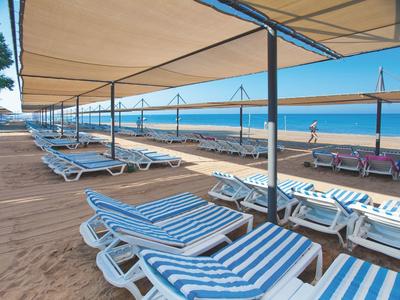 Fila di lettini blu e bianchi sotto una copertura su una spiaggia sabbiosa con vista mare.