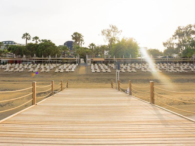 Una passerella in legno assolata conduce a lettini sulla spiaggia con palme sullo sfondo.