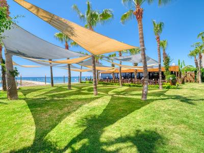 Grüner Garten mit Sonnensegeln und Palmen vor einem Restaurant am Strand.