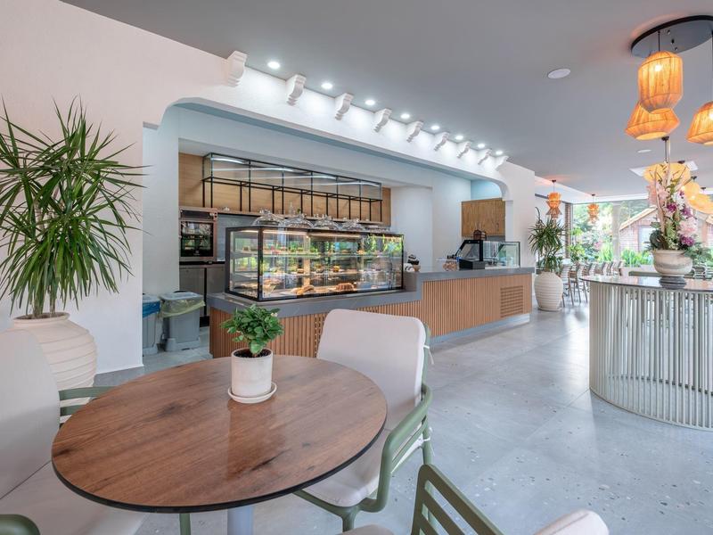 Modern café met zitplaatsen, grote planten en goed verlichte toonbank.