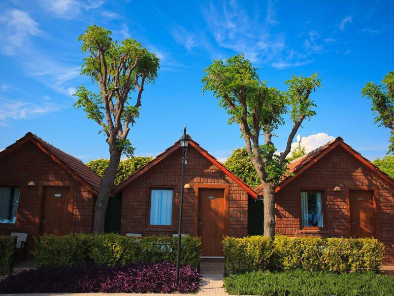 Drie kleine houten hutten in een tuin onder een blauwe lucht.
