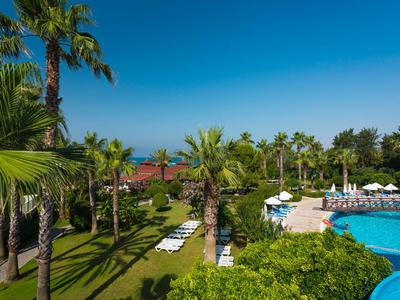 Blick auf einen Hotelpool mit Liegestühlen und Palmen unter klarem blauem Himmel.