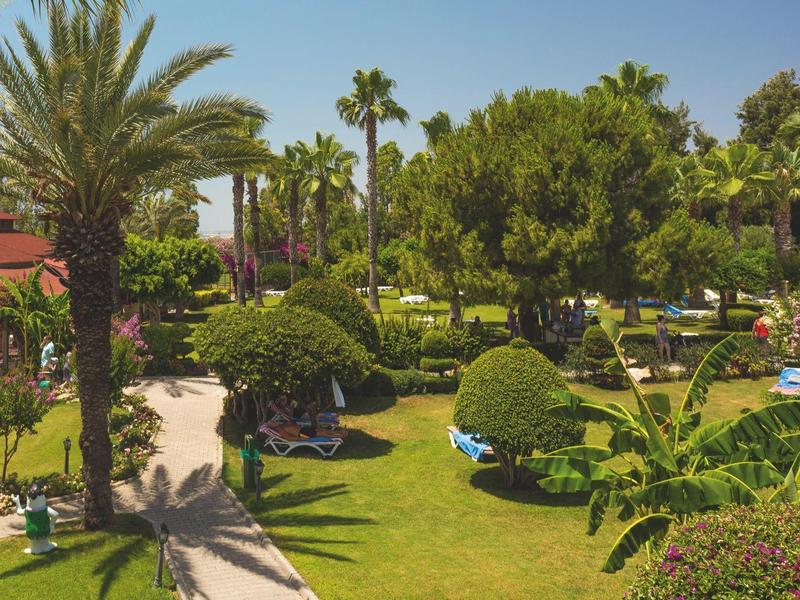 Area giardino verde con palme, sentieri e panchine sotto il sole.