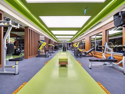 Heller, geräumiger Fitnessraum mit grüner Decke, Maschinen links und rechts, großer Spiegel.