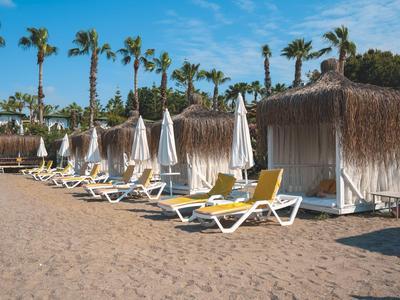 Strandliegen und Sonnenschirme vor Strohhütten mit Palmen im Hintergrund