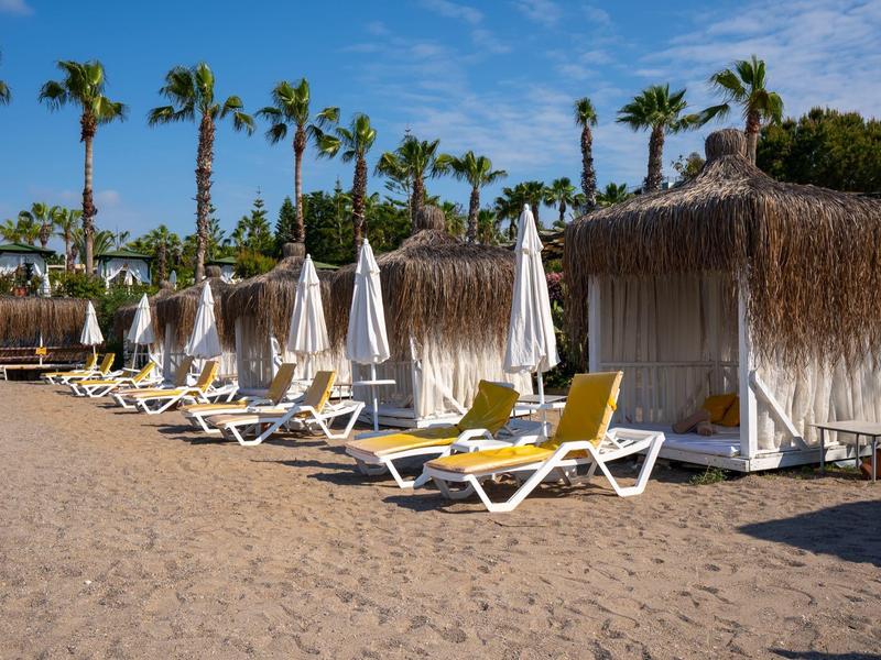 Pláž s lehátky a zastřešenými slunečními postelemi před palmami a modrou oblohou.
