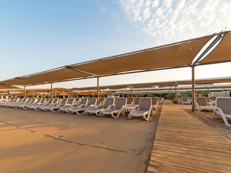 File di lettini bianchi sotto tende da sole accanto a un passaggio in legno sulla spiaggia.