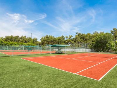 Roter Tennisplatz mit grünem Netz, umgeben von grünem Rasen und Büschen unter blauem Himmel.