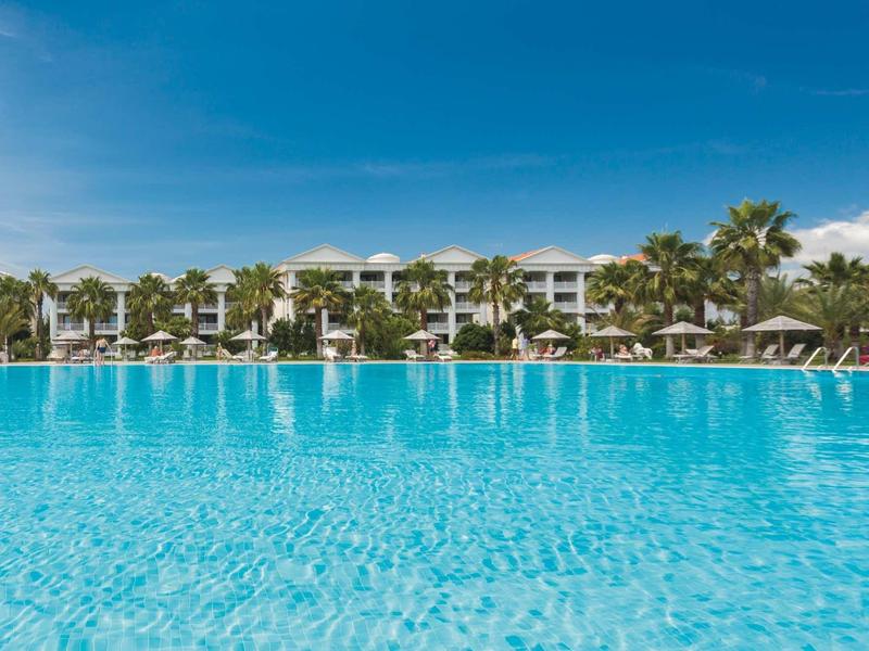 Large hotel pool with palm trees and lounge chairs under a clear blue sky.