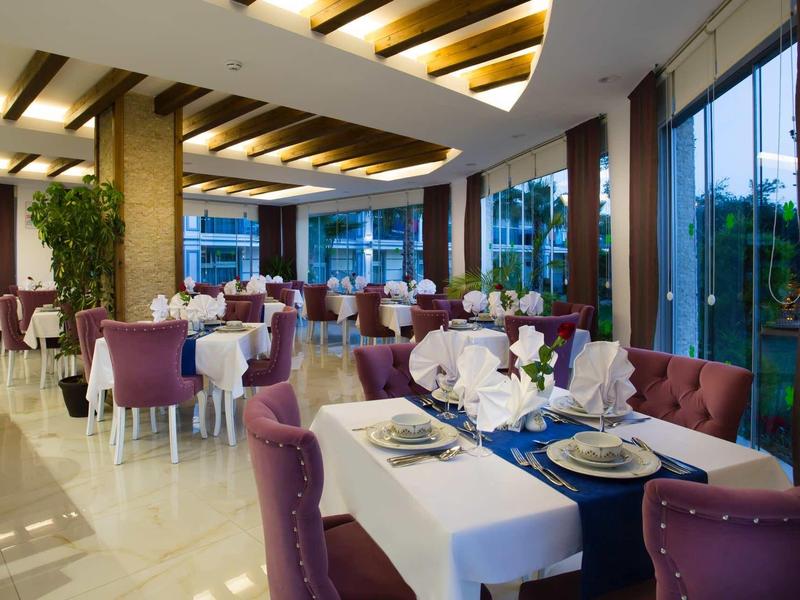 Elegantes Restaurant mit violetten Stühlen, weißen Tischdecken und großen Fenstern, Tageslicht fällt herein.