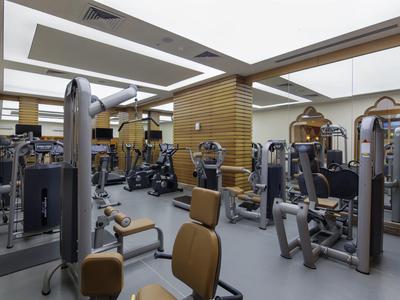 Palestra moderna dell'hotel con vari attrezzi e pareti rivestite in legno.