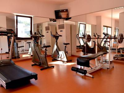 Pequeño gimnasio con cinta de correr, bicicleta estática y máquinas de pesas frente a grandes espejos.