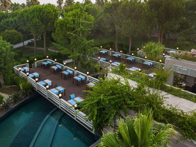 Terrasse sur le toit avec des tables bleues et un environnement verdoyant à côté d'une piscine