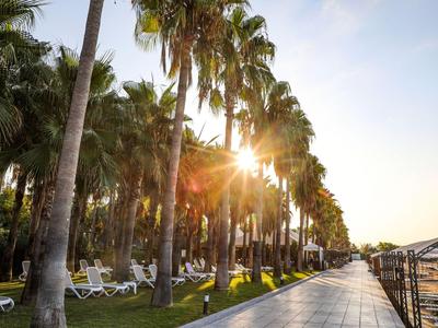 Zonsondergang achter een rij palmbomen langs een promenade met ligstoelen.