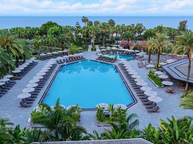 Grande piscina rettangolare con lettini e palme in un ambiente alberghiero tropicale.