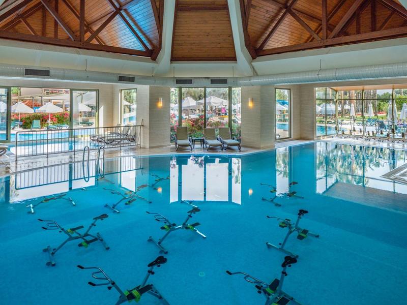 Piscina interna con soffitto in legno e grandi finestre che si affacciano sull'area esterna in hotel