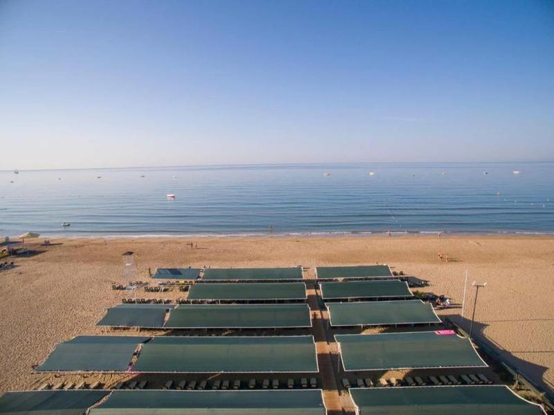 Rows of green beach umbrellas on a sandy shore with a calm sea and blue sky in the background.
