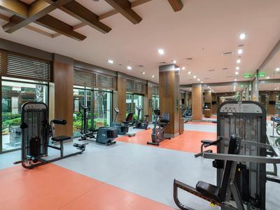 Moderne Fitnessstudio mit mehreren Trainingsgeräten, großen Fenstern und Holzdeckenbalken.