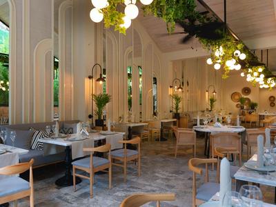 Hell eingerichtetes Restaurant mit Holzstühlen, grauen Sitzpolstern und grünen Pflanzen an den Wänden.