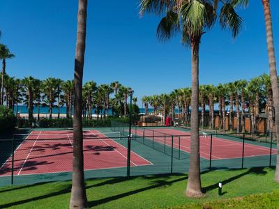 Mehrere Tennisplätze mit roten Spielflächen umgeben von Palmen bei klarem Himmel.