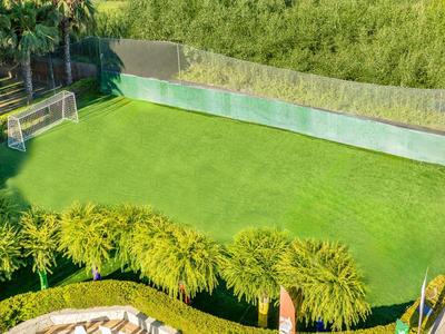 Grüner Garten mit gepflegtem Rasen, Palmen, Umzäunung und Spielplatzbereich rechts.
