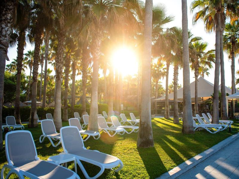 Luce solare tra palme con ombrelloni e sdraio vicino alla piscina.