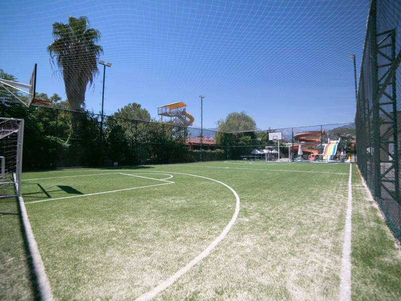 Un campo de fútbol de césped artificial soleado con porterías y una valla, rodeado de palmeras y vegetación.
