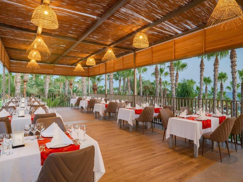 Zastřešená terasa s prostřenými stolky a výhledem na palmy a moře.