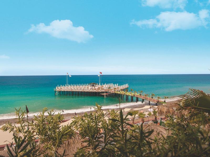 A pier extends into the calm blue sea at a sunny beach with plants in the foreground.