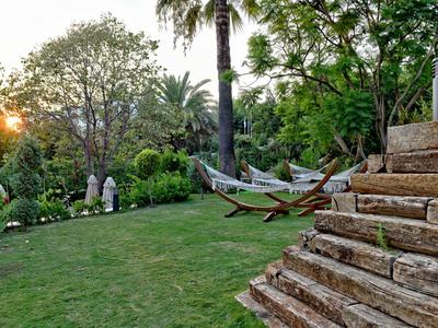 Jardin verdoyant avec chaises longues et escalier en pierre au coucher du soleil.