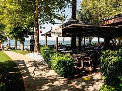 Area esterna soleggiata di un café con tavoli, sedie e vista sul lago.