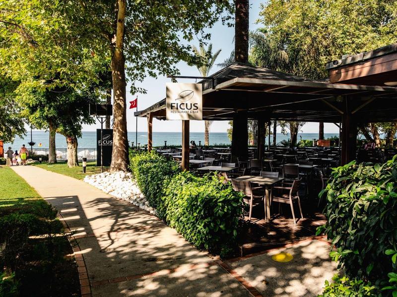 Area esterna soleggiata di un café con tavoli, sedie e vista sul lago.