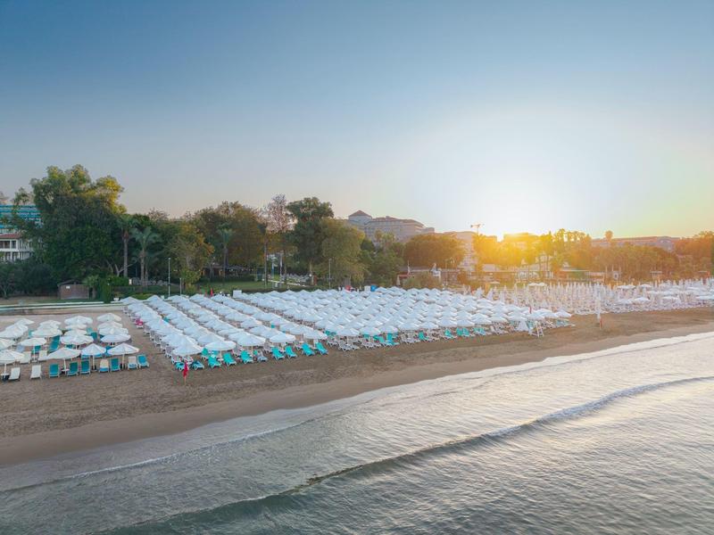 Spiaggia vuota con file di ombrelloni e lettini all'alba o al tramonto.
