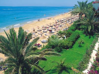 Plage avec palmiers, parasols et mer bleue par une journée ensoleillée