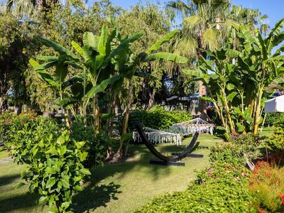 Jardín verde con plantas tropicales, hamaca y sillas en un entorno vacacional de hotel.