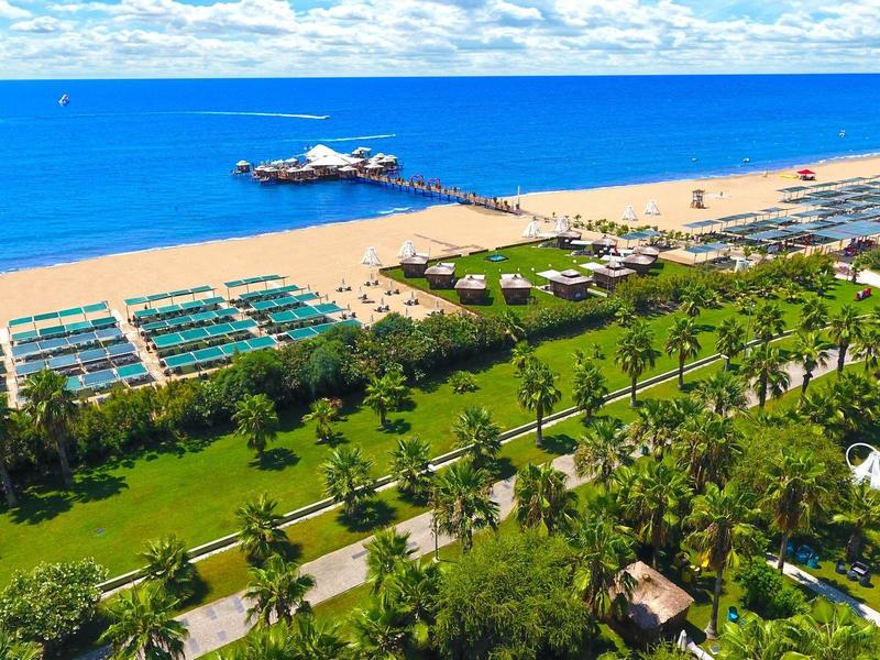 View of a beach, pier, and green park with palm trees by the sea